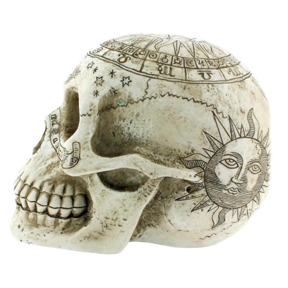 Nemesis Now - Astrological Skull Dekorative Figur - Creme/Beige
